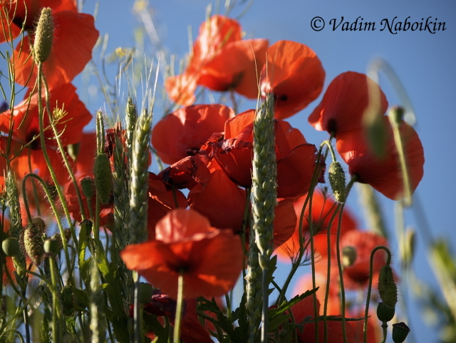 Ukraine in May is perfect for photography tours